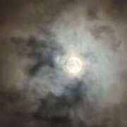 ヒメ日記 2025/10/13 01:21 投稿 にこ 熟女の風俗最終章 本厚木店