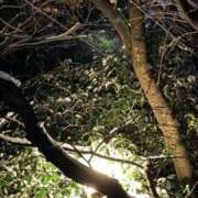 ヒメ日記 2026/02/10 18:21 投稿 にこ 熟女の風俗最終章 本厚木店