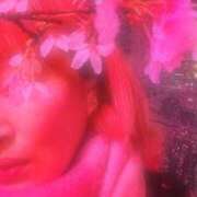 ヒメ日記 2026/04/03 01:41 投稿 にこ 熟女の風俗最終章 本厚木店