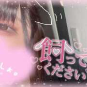 ヒメ日記 2026/01/25 19:28 投稿 ユリノ ドMな奥さん 十三店