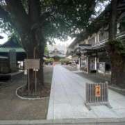 ヒメ日記 2025/09/27 16:07 投稿 まゆ 所沢東村山ちゃんこ