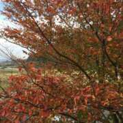 ヒメ日記 2025/10/13 17:15 投稿 まゆ 所沢東村山ちゃんこ