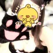 ヒメ日記 2025/11/12 13:26 投稿 りお イエスグループ熊本 TSUBAKI(ツバキ)