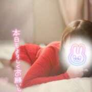 ヒメ日記 2026/01/23 09:29 投稿 ふじこ モアグループ小山人妻花壇