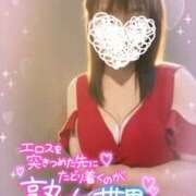 ヒメ日記 2026/05/11 14:15 投稿 ふじこ モアグループ小山人妻花壇