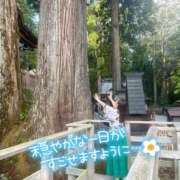 ヒメ日記 2026/06/05 10:06 投稿 ふじこ モアグループ小山人妻花壇