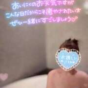 ヒメ日記 2026/06/08 09:00 投稿 ふじこ モアグループ小山人妻花壇