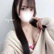 ヒメ日記 2026/04/02 10:02 投稿 富永　そよか アムアージュ