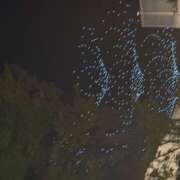 ヒメ日記 2025/09/25 12:57 投稿 くらげ【梅田堂山女学院】 梅田堂山女学院