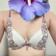 ヒメ日記 2025/08/23 18:17 投稿 あや ぷるるん小町梅田店