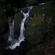 ヒメ日記 2025/09/04 19:32 投稿 あや ぷるるん小町梅田店