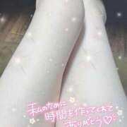 ヒメ日記 2025/10/02 19:02 投稿 あや ぷるるん小町梅田店