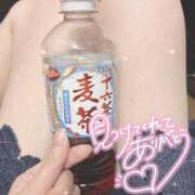 ヒメ日記 2025/10/15 22:32 投稿 あや ぷるるん小町梅田店