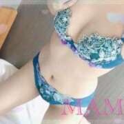 ヒメ日記 2025/08/26 15:01 投稿 まもり おねだり！ココナッツ