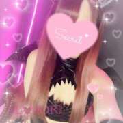 ヒメ日記 2025/10/02 15:02 投稿 まもり おねだり！ココナッツ