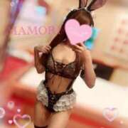 ヒメ日記 2025/11/05 15:02 投稿 まもり おねだり！ココナッツ