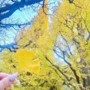 ヒメ日記 2025/12/11 21:18 投稿 ゆか 品川ハイブリッドマッサージ