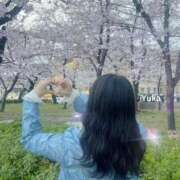 ヒメ日記 2026/03/15 23:18 投稿 ゆか 品川ハイブリッドマッサージ