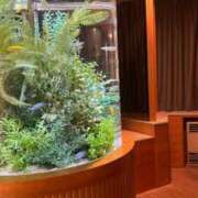 ヒメ日記 2025/08/24 22:39 投稿 柚（ゆず） 人妻の蜜