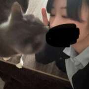 ヒメ日記 2026/04/15 12:01 投稿 るな 東京メンズボディクリニック TMBC 秋葉原店