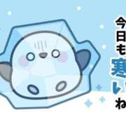 新人のぞみ☆業界未経験 お疲れさまでした セレブ パラダイス