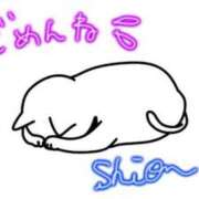 ヒメ日記 2025/08/29 18:09 投稿 しおん One More奥様　八王子店