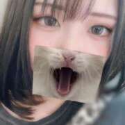 ヒメ日記 2025/08/31 16:23 投稿 すい☆愛くるしさ1000000％ 妹系イメージSOAP萌えフードル学園 大宮本校