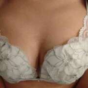 ヒメ日記 2025/12/17 18:02 投稿 きりは Seirenes (セイレネス)