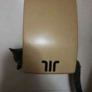 ヒメ日記 2025/09/15 01:20 投稿 みんと 渋谷とある風俗店♡やりすぎコレクション