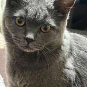 ヒメ日記 2025/09/21 07:14 投稿 みんと 渋谷とある風俗店♡やりすぎコレクション