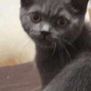 ヒメ日記 2025/09/26 01:01 投稿 みんと 渋谷とある風俗店♡やりすぎコレクション