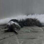 ヒメ日記 2026/01/24 17:12 投稿 優衣（ゆい） NOA（ノア）