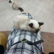 ヒメ日記 2025/10/15 21:42 投稿 なの ピュアコス学園