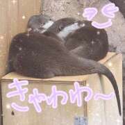 ヒメ日記 2025/09/11 16:16 投稿 ゆかり ぼくらのデリヘルランドin久喜店