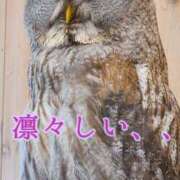 ヒメ日記 2025/09/28 09:46 投稿 ゆかり ぼくらのデリヘルランドin久喜店