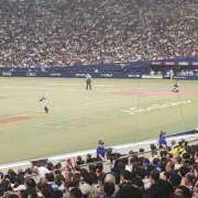 ヒメ日記 2025/09/03 19:18 投稿 らぶ おいらん遊郭