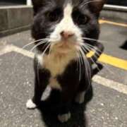 れいか 到着です♡ 道玄坂クリスタル