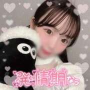 ヒメ日記 2025/11/13 18:34 投稿 美羽（みわ） チューリップ福井本館