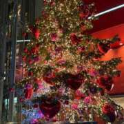 ヒメ日記 2025/11/27 00:46 投稿 れみ 奥様さくら日本橋店