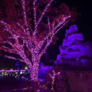 れみ 29日のお兄さん❤️ 奥様さくら日本橋店