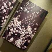 ヒメ日記 2026/02/13 16:51 投稿 れみ 奥様さくら日本橋店