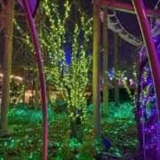 ヒメ日記 2026/03/10 12:23 投稿 れみ 奥様さくら日本橋店