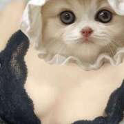 ヒメ日記 2025/12/12 00:12 投稿 なち スピード京橋店