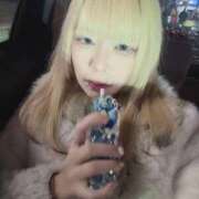 ヒメ日記 2025/10/30 17:44 投稿 HARO GINGIRA☆TOKYO～ギンギラ東京～