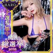 ヒメ日記 2025/11/12 12:14 投稿 HARO GINGIRA☆TOKYO～ギンギラ東京～