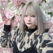 ヒメ日記 2025/12/12 21:43 投稿 HARO GINGIRA☆TOKYO～ギンギラ東京～