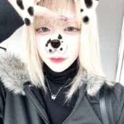 ヒメ日記 2026/04/24 11:44 投稿 HARO GINGIRA☆TOKYO～ギンギラ東京～
