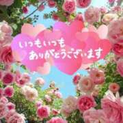 ヒメ日記 2025/09/19 23:30 投稿 新人りん35歳 夫を卒業する人妻たち