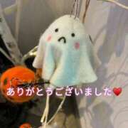 ヒメ日記 2025/10/29 01:00 投稿 新人りん35歳 夫を卒業する人妻たち