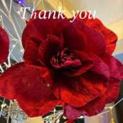 ヒメ日記 2025/12/13 23:07 投稿 新人りん35歳 夫を卒業する人妻たち